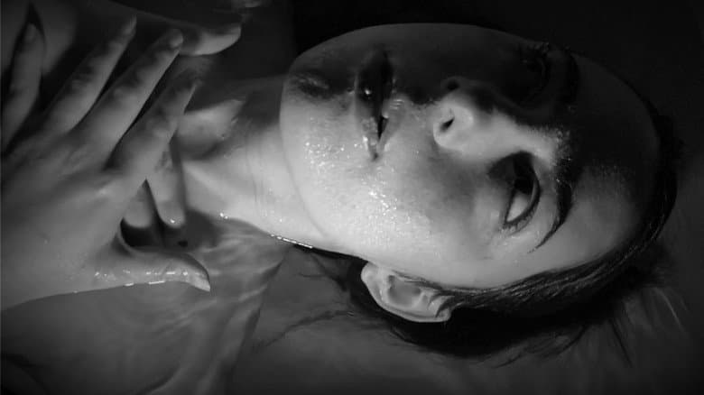 Echo still
