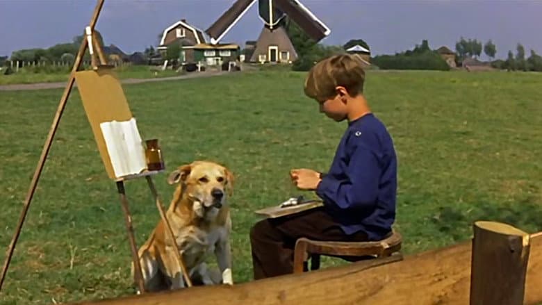 A Dog of Flanders still