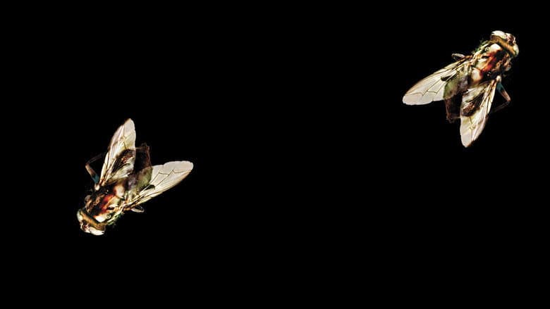 The Fly II still