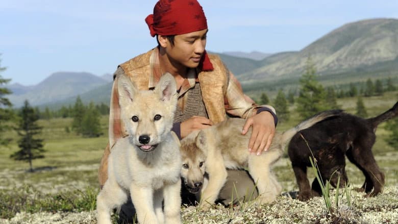 Loup still