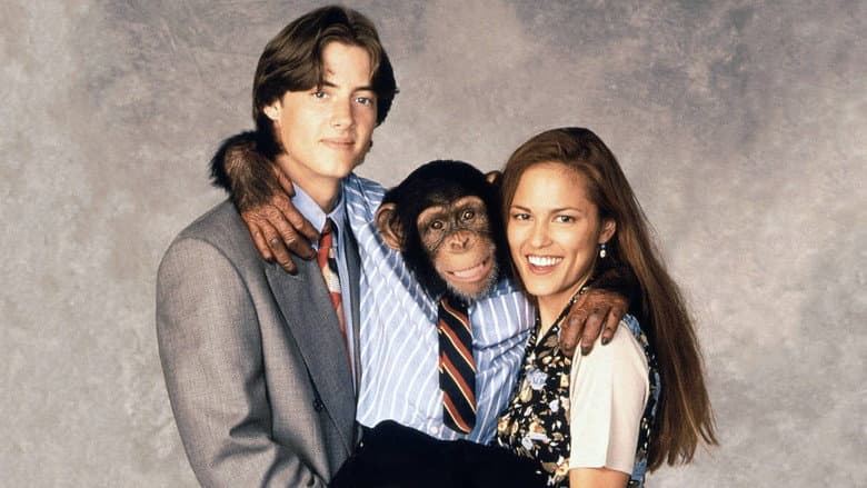 The Barefoot Executive still
