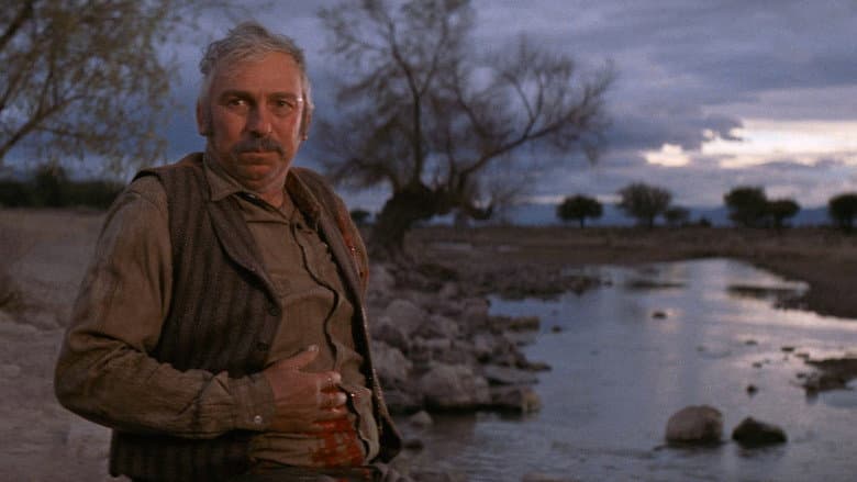Pat Garrett & Billy the Kid still