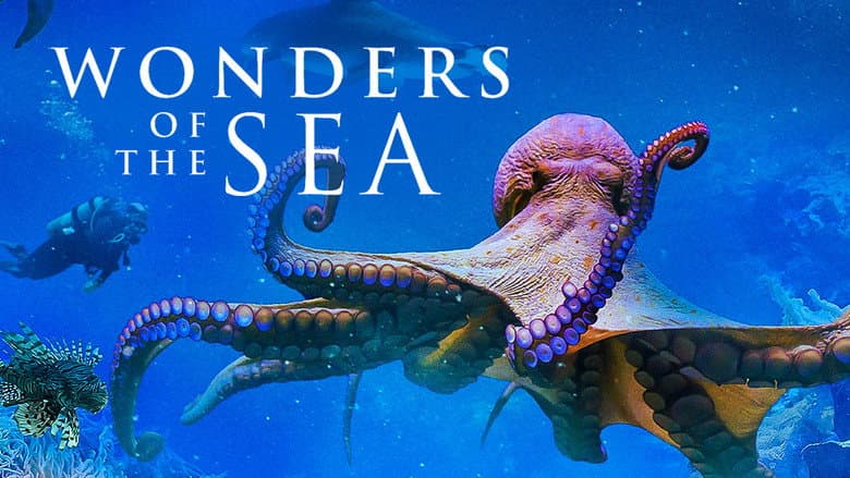 Wonders of the Sea still