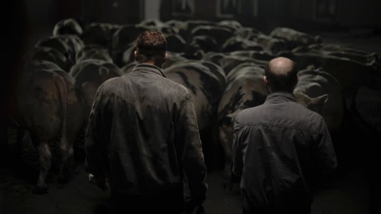 Bullhead still