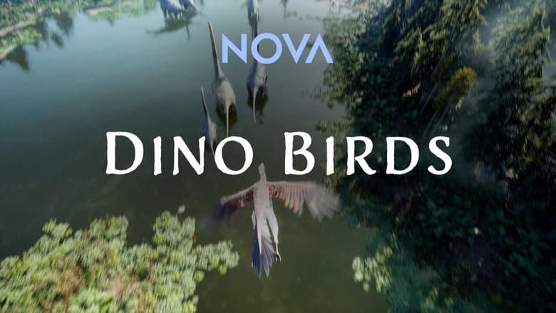 Dino Birds still