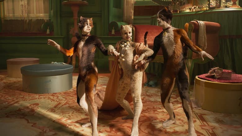 Cats still