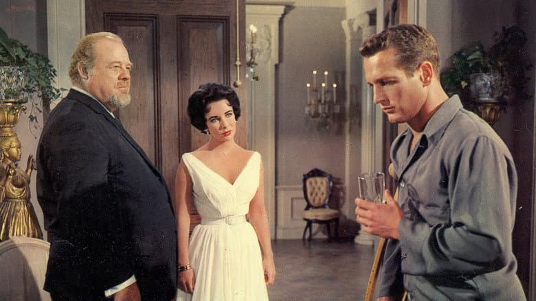 Cat on a Hot Tin Roof still