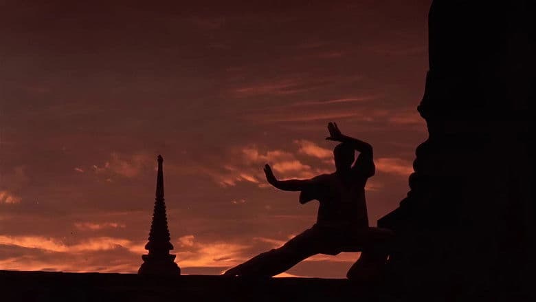 Kickboxer still