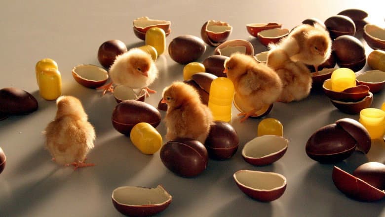Food Design still