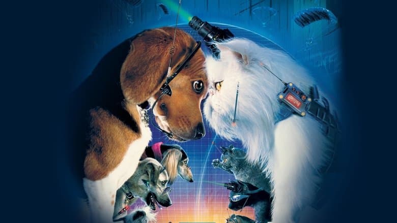 Cats & Dogs still