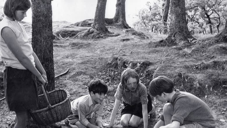 Swallows and Amazons still