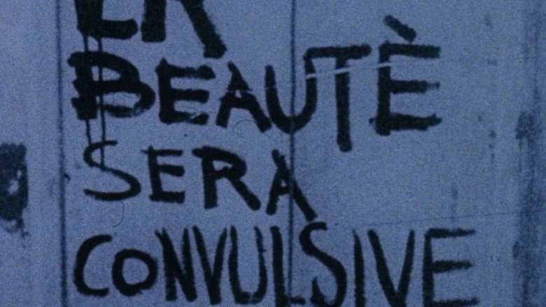A Film Like Any Other still