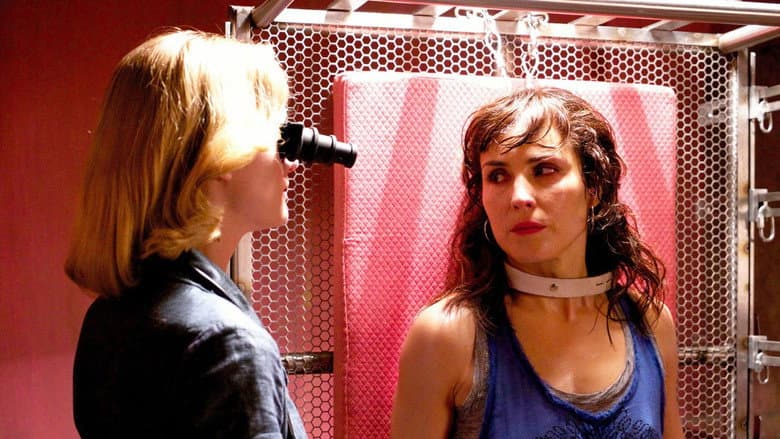 Rupture still