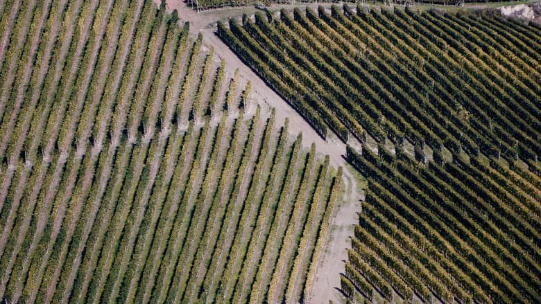 Barolo Boys: The Story of a Revolution still