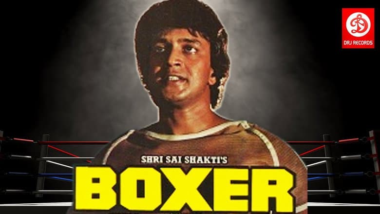 Boxer still