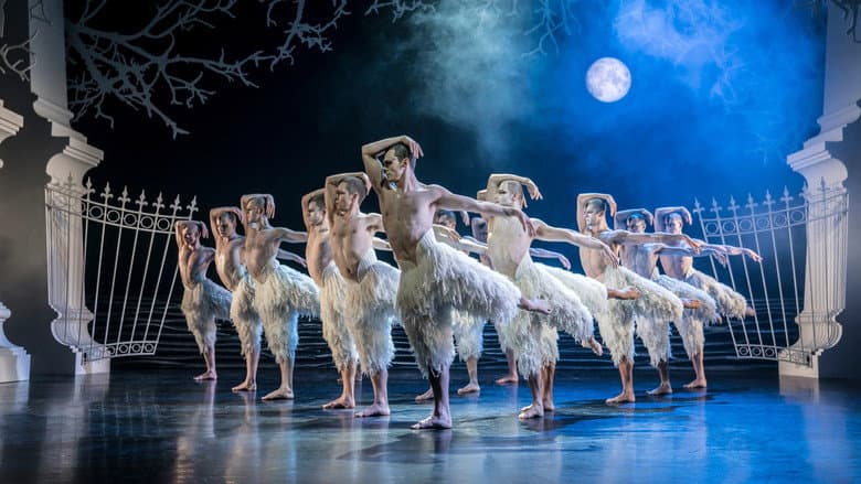 Matthew Bourne's Swan Lake still