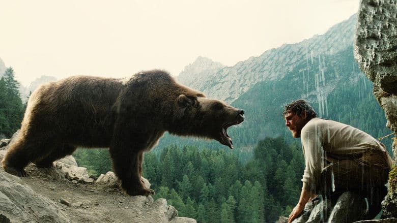 The Bear still