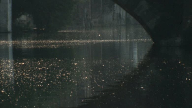 Bruges-La-Morte still