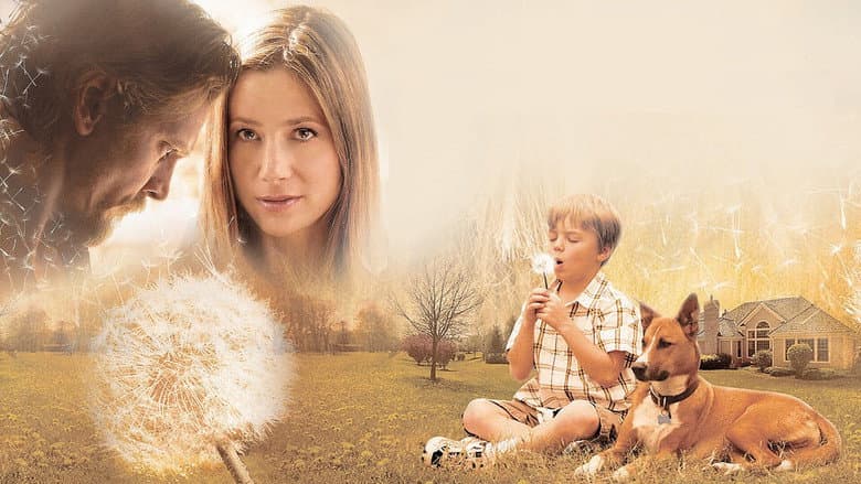 Like Dandelion Dust still