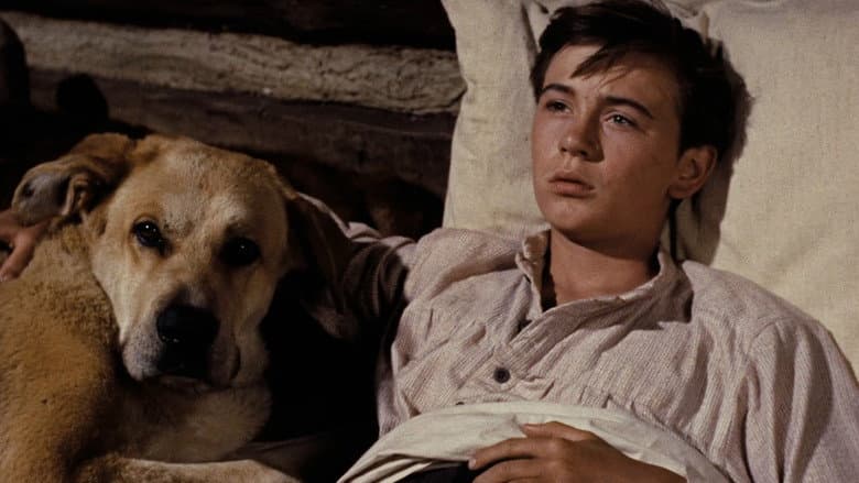 Old Yeller still