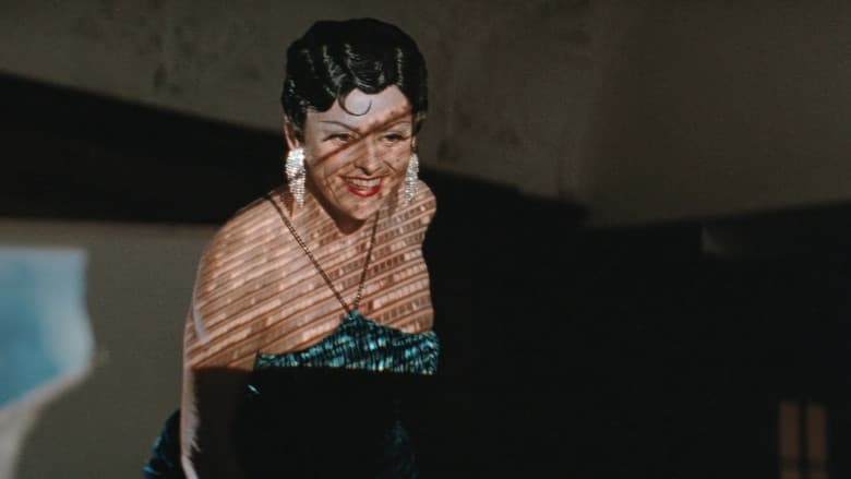 The Adjuster still