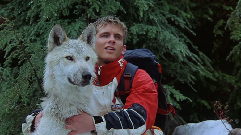 Silver Wolf still