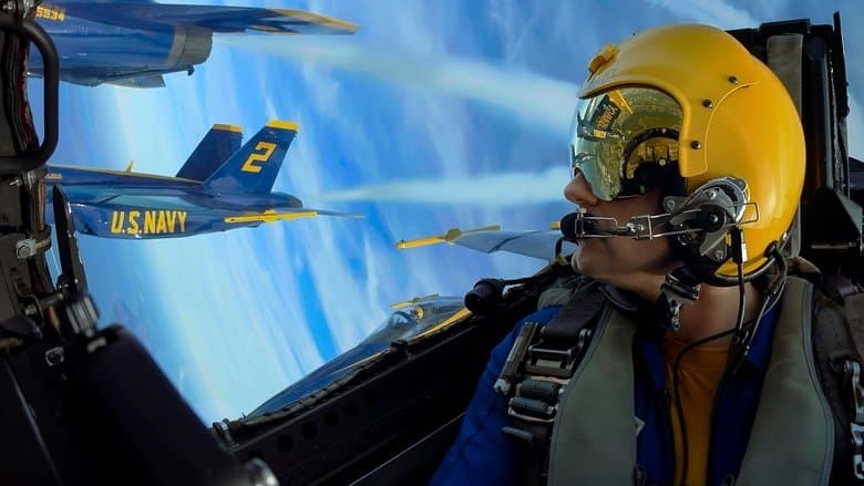 The Blue Angels still
