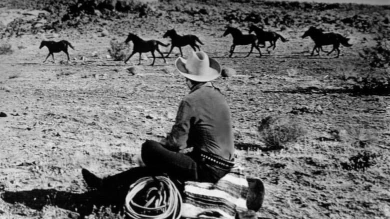 Six Black Horses still