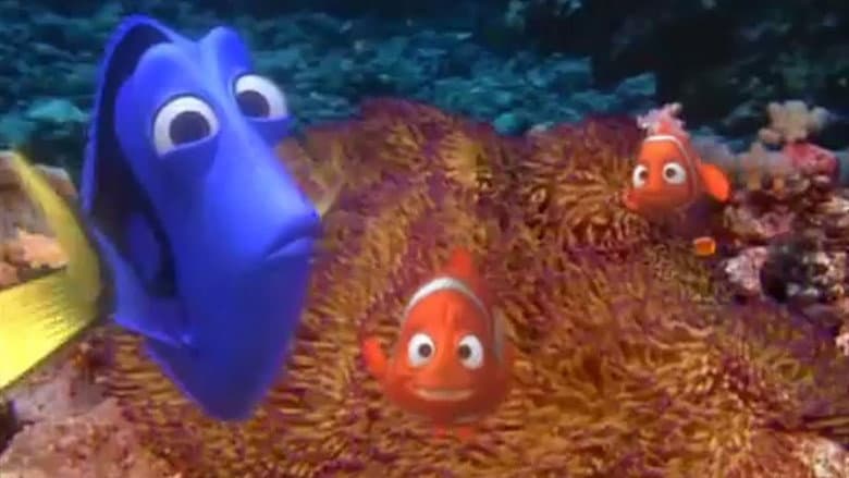 Exploring the Reef still