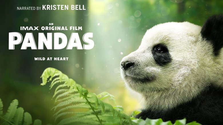 Pandas still