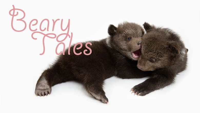 Beary Tales still