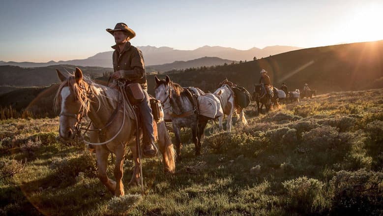 Unbranded still