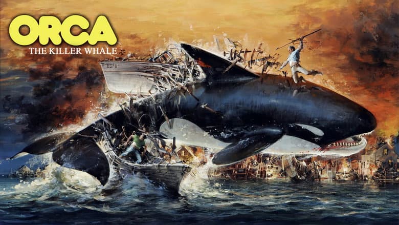 Orca still
