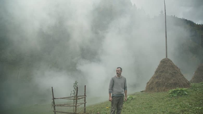 Pamfir still