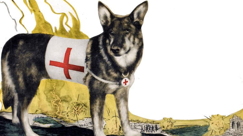 A Dog of the Regiment still