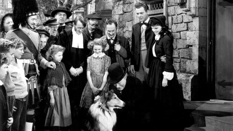 Challenge to Lassie still