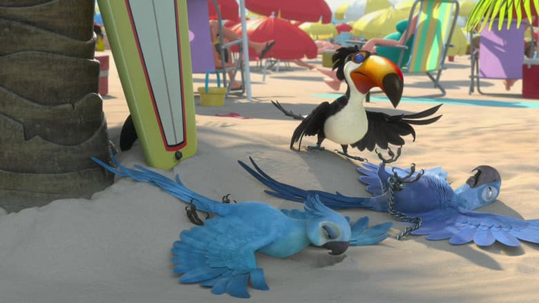 Rio still