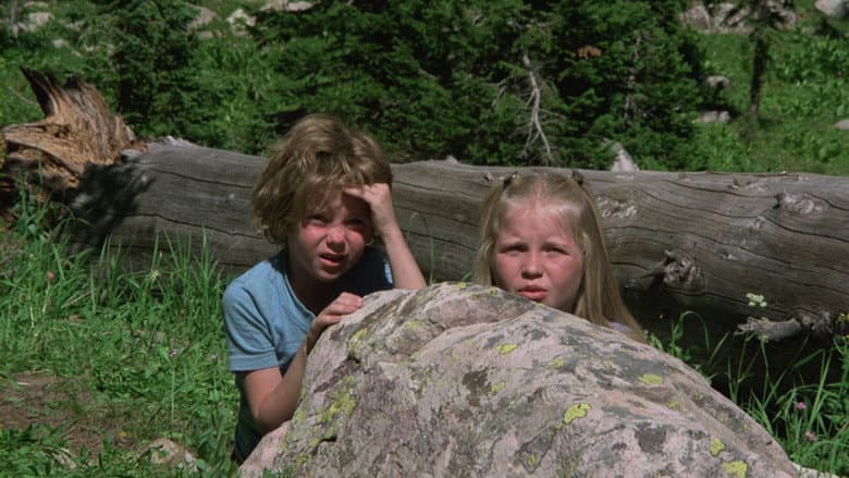 The Adventures of the Wilderness Family still