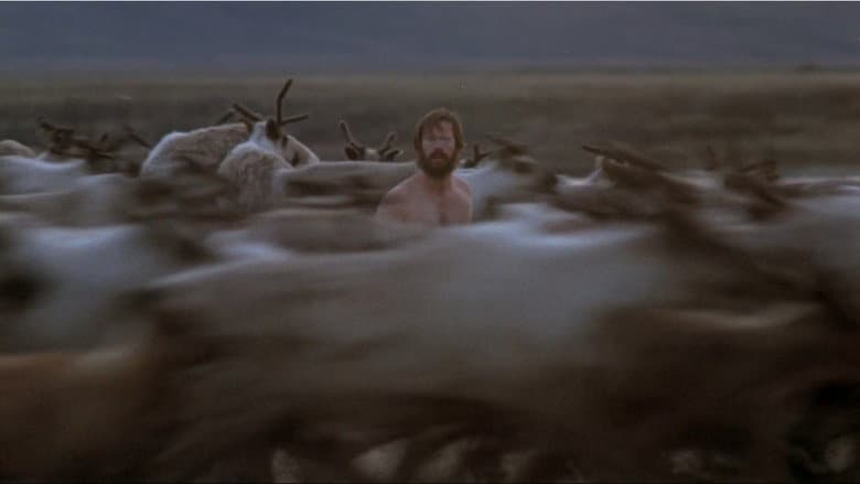 Never Cry Wolf still