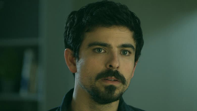 Tulip still