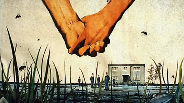 The Cement Garden still