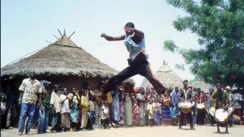 Circus Baobab still