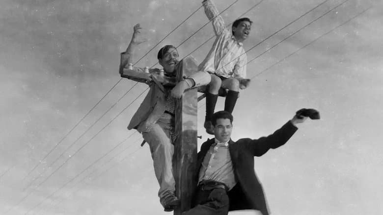 The Three Amateurs still