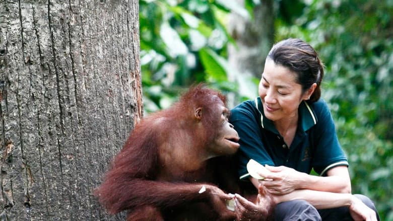 Among the Great Apes with Michelle Yeoh still