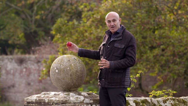 Gravity and Me: The Force That Shapes Our Lives still