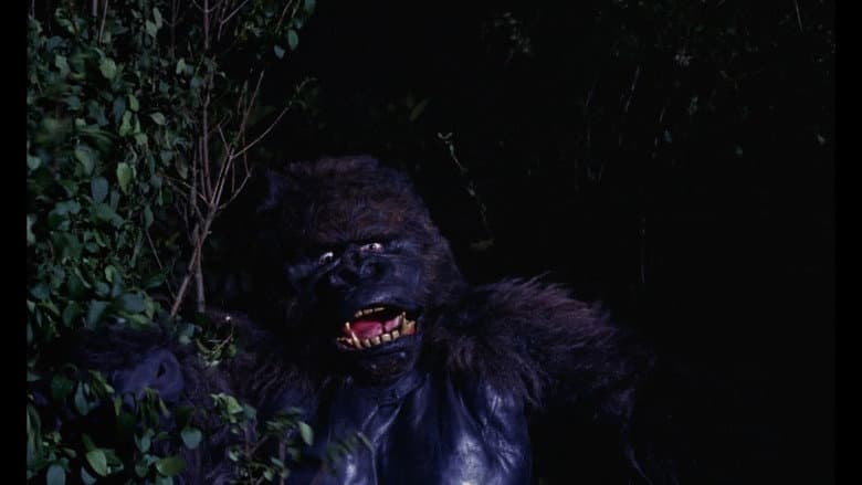Konga still