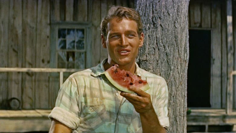 The Long, Hot Summer still