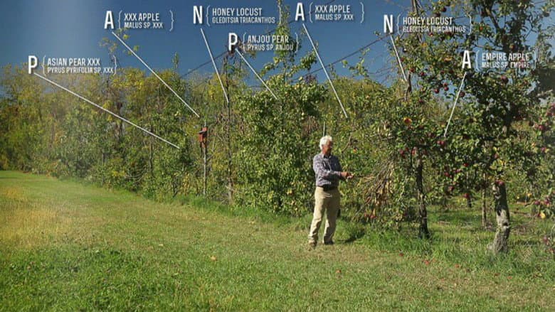 The Permaculture Orchard: Beyond Organic still