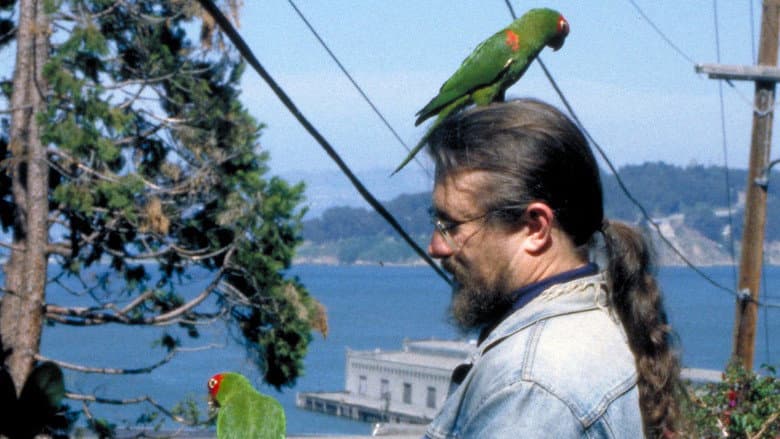 The Wild Parrots of Telegraph Hill still