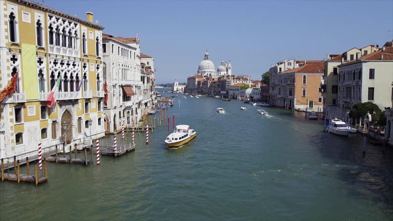 Wild Venice still